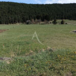 Terrain à FONTRABIOUSE 110000.00€