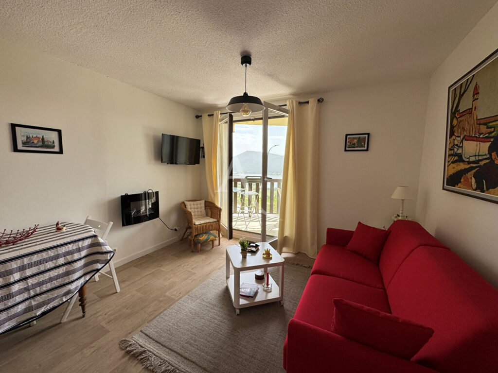 Appartement à LES ANGLES – 1 pièce(s) – 21.67m² Appartement à LES ANGLES – 1 pièce(s) – 21.67m²
